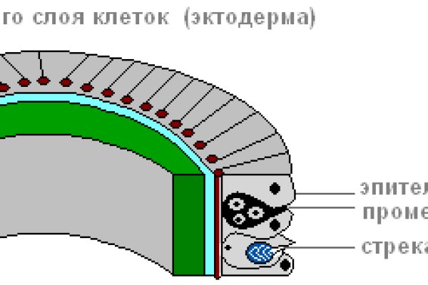 Куплю марихуану бошки гашиш