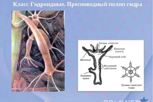 Официальный сайт блэкспрут онион