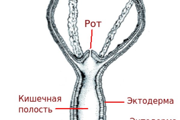 Сайт мега обход блокировки